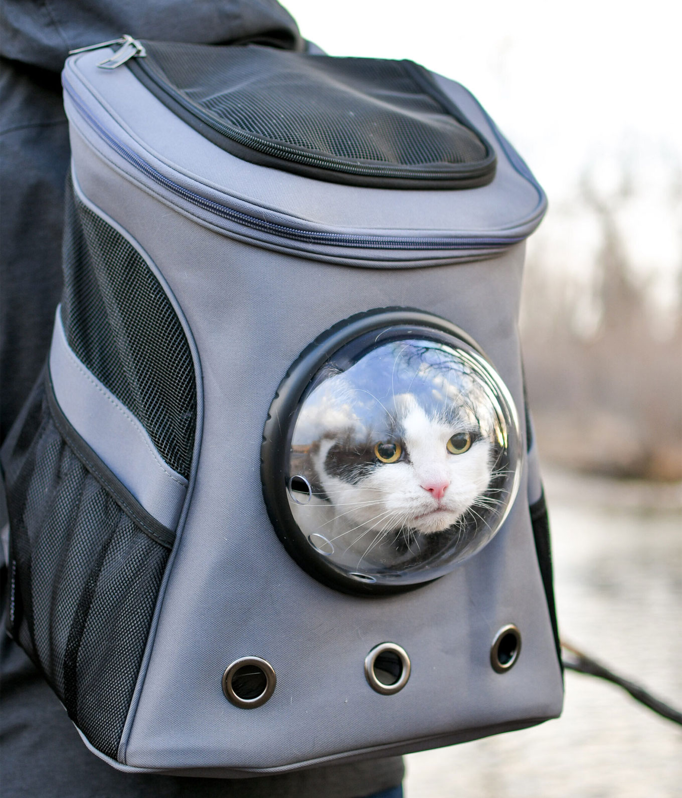 Cat backpack