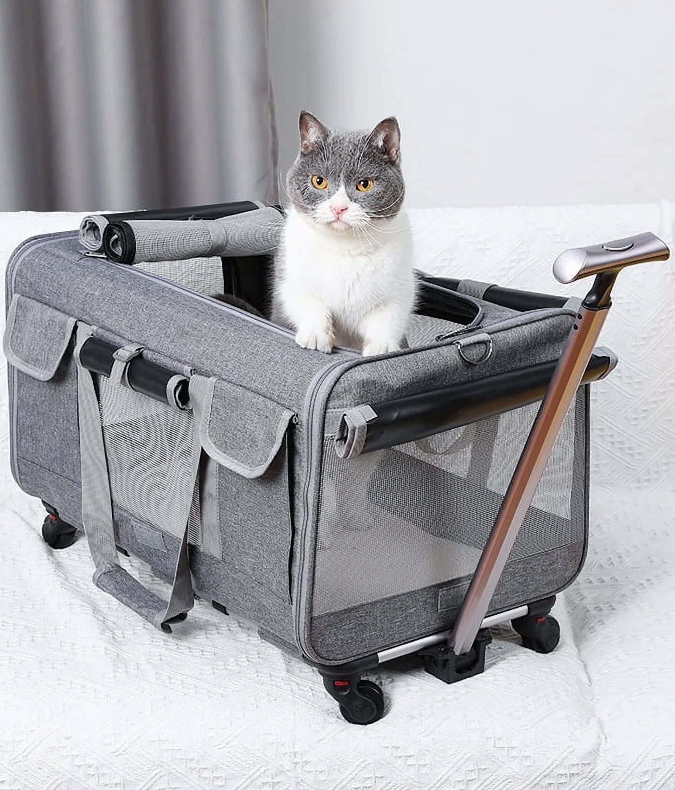Cat bag carriers