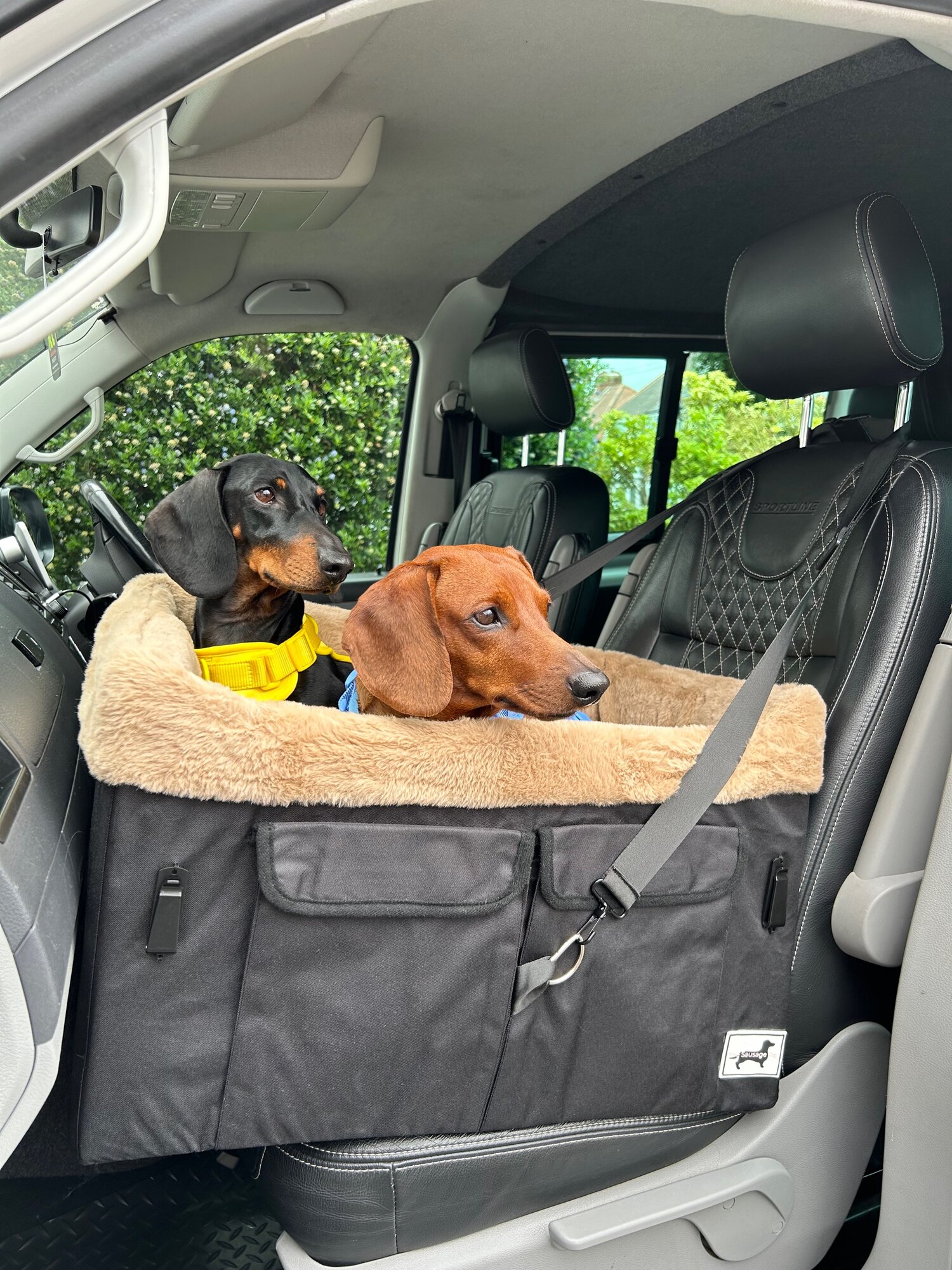 Dog booster