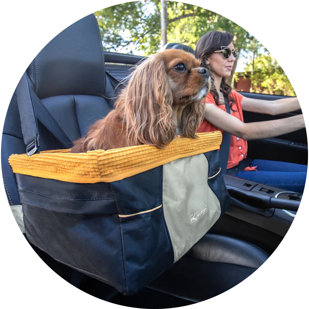 Dog travel products