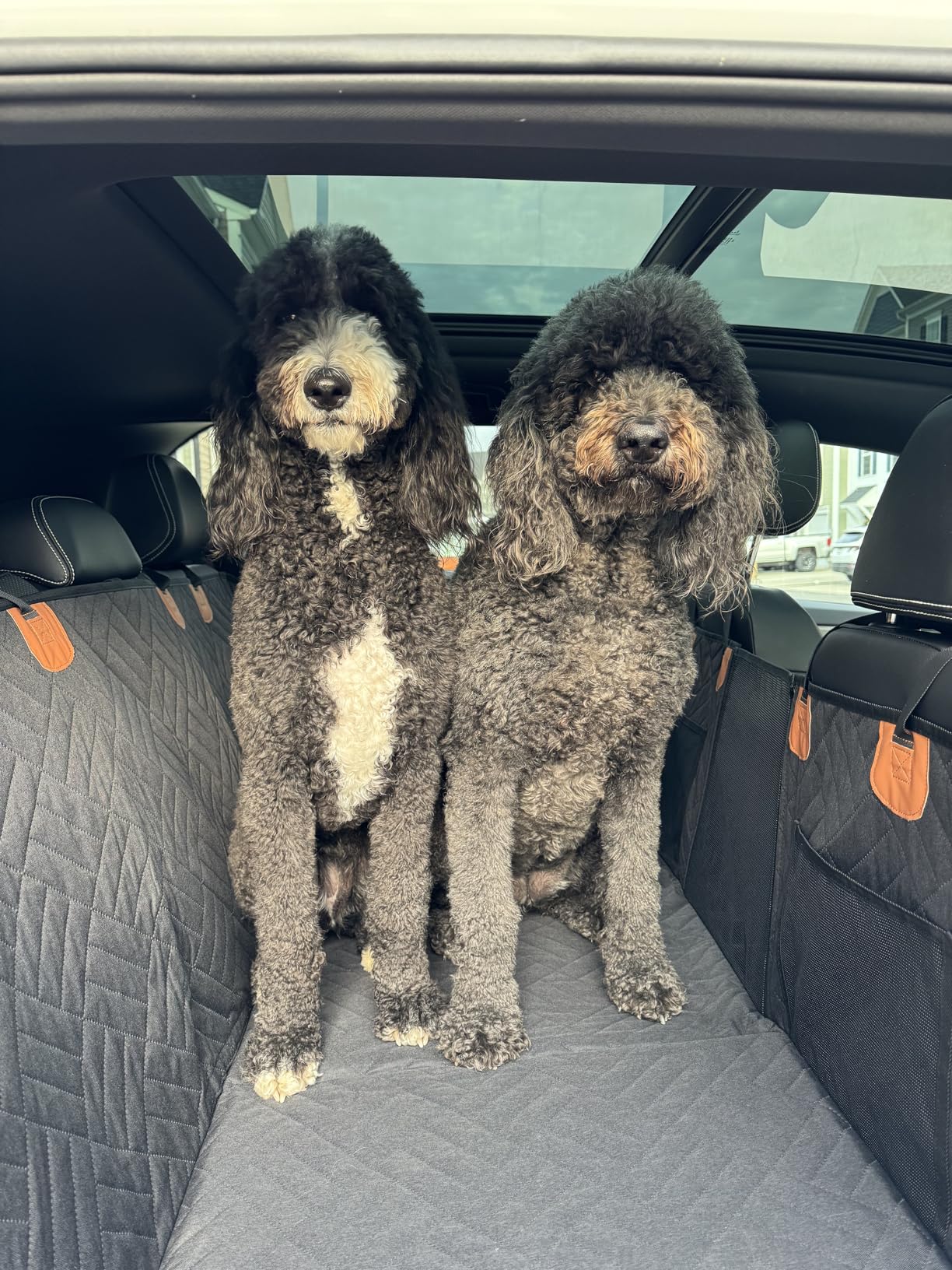 Car seat cover for dogs