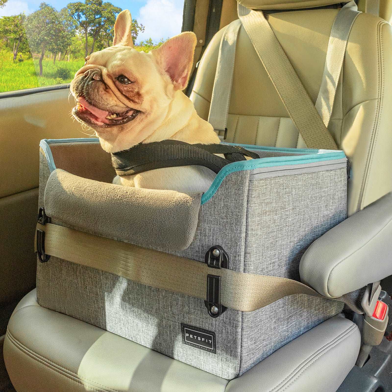 Dog car seats Dog car seats