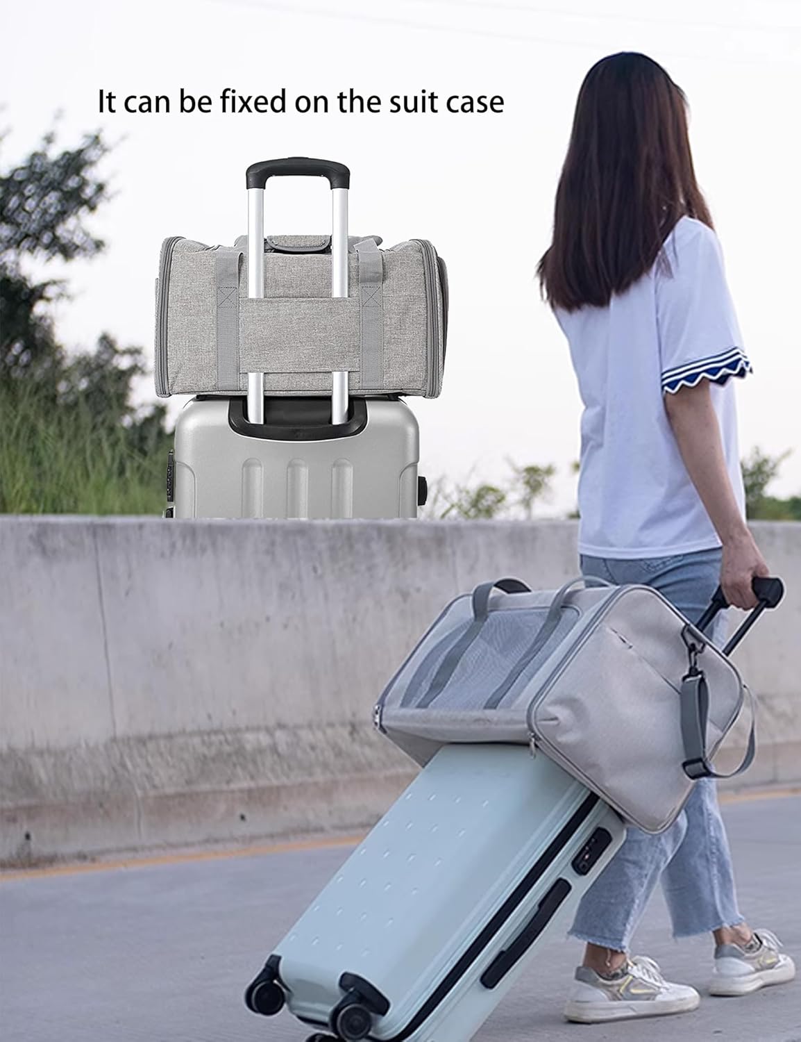 airline approved cat carrier airline approved cat carrier