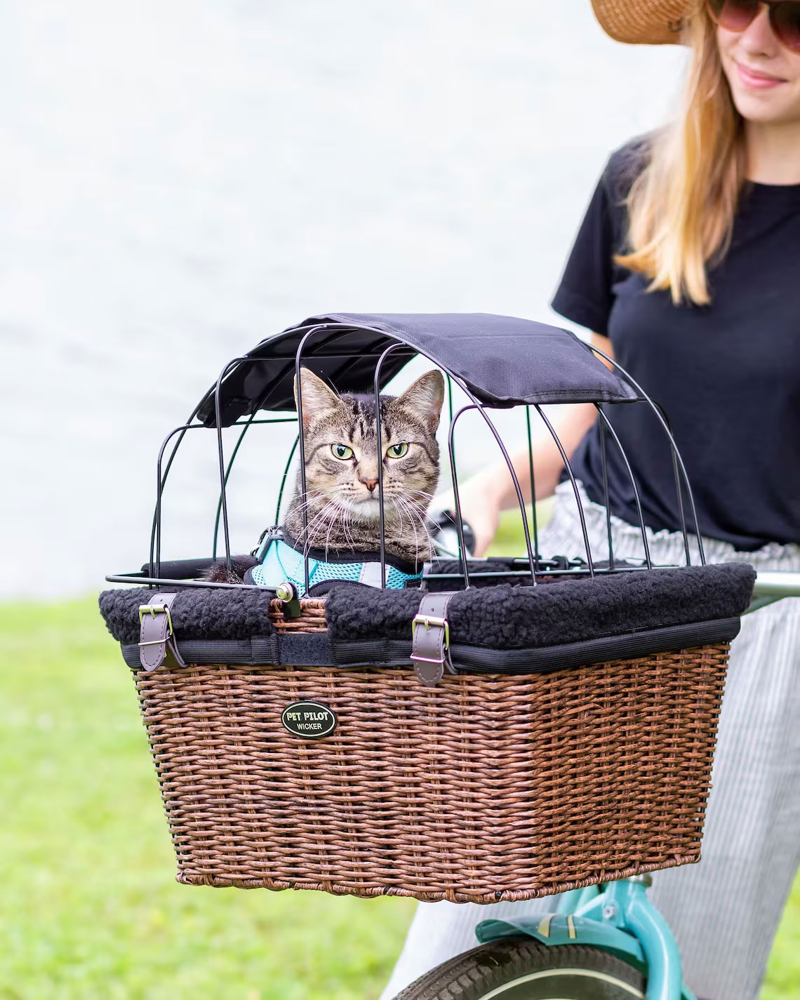 cat bike basket cat bike basket