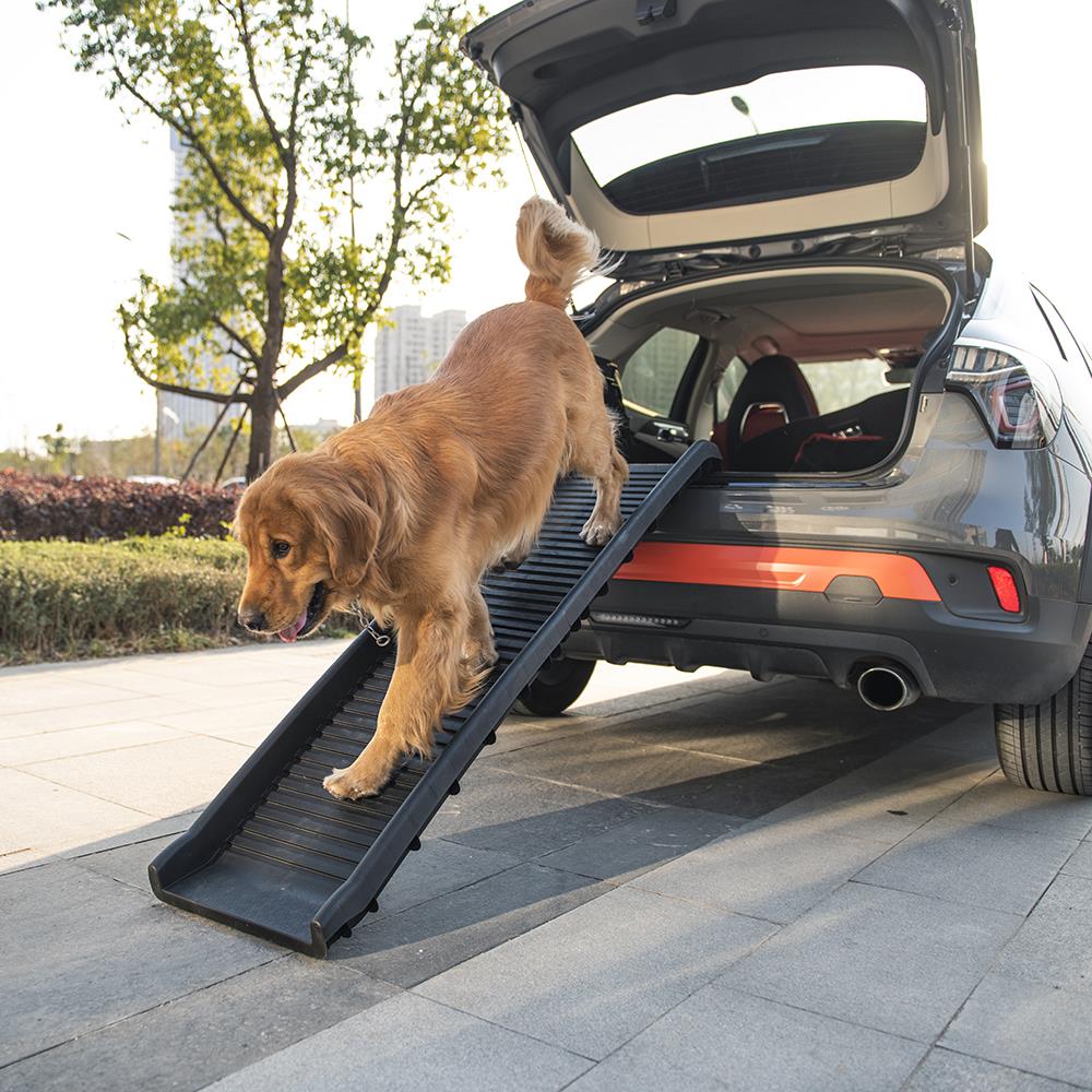 dog car ramp dog car ramp