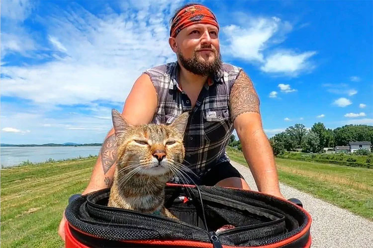 Cat basket for bike